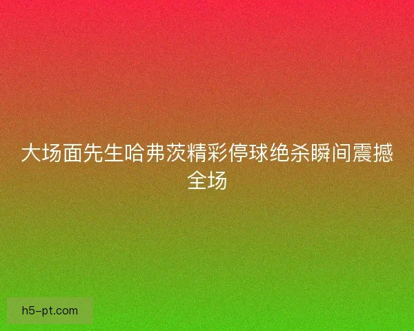 大场面先生哈弗茨精彩停球绝杀瞬间震撼全场